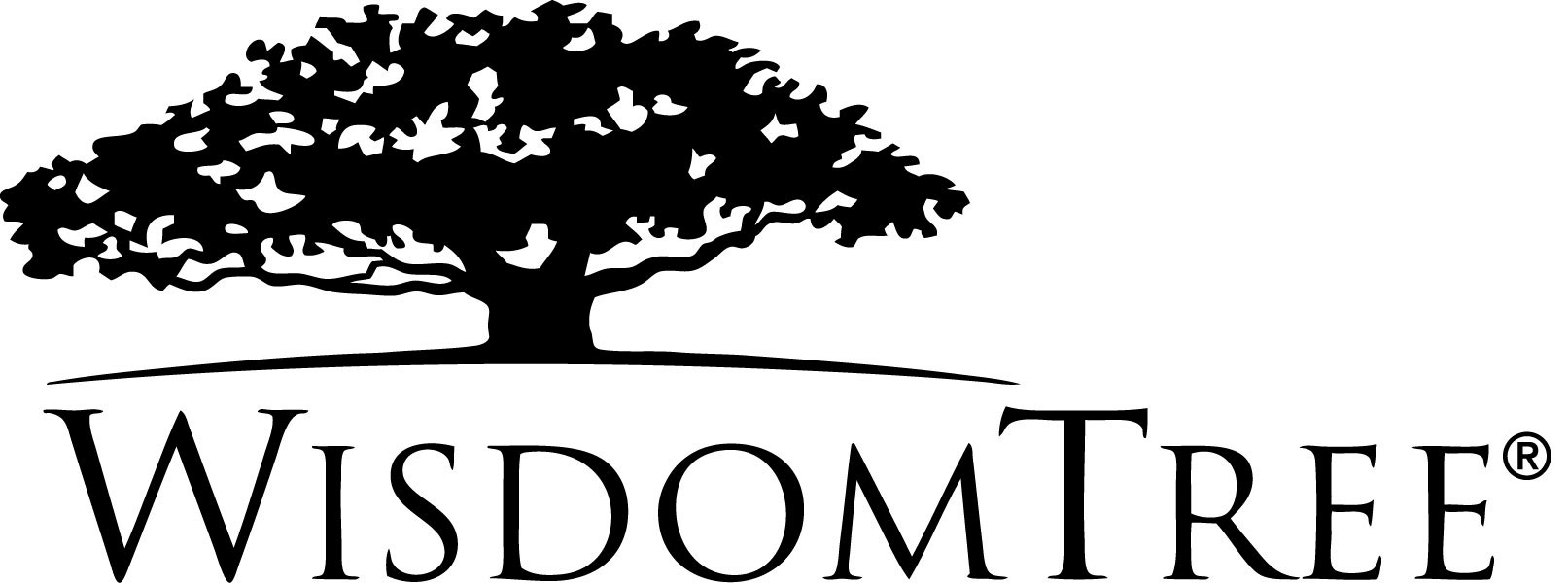 WisdomTree Schedules Earnings Conference Call for Q4 on January 31, 2025 at 11:00 a.m. ET